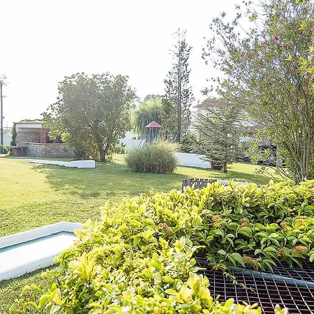 Farm stay Casa Da Padeira - Turismo Rural *