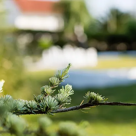 Casa Da Padeira - Bauernhof *