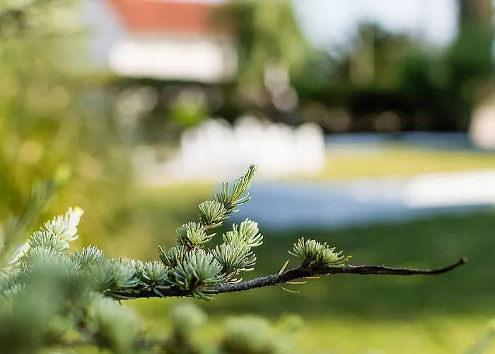 Casa Da Padeira - Фермерский дом *